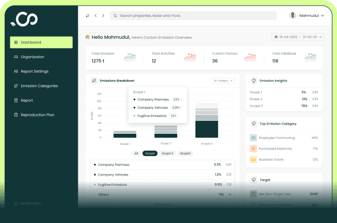 Background decoration